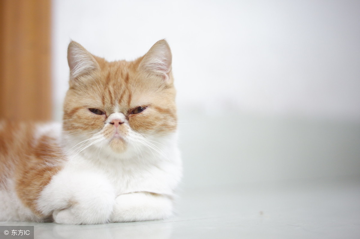 雙十一已過，阿里的服務(wù)器你還好嗎？ 